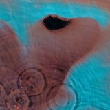 Pink Floyd Fearless 154147