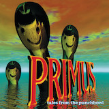 Primus Wynona's Big Brown Beaver 1678261