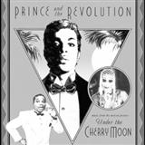 Prince Sometimes It Snows In April 123314