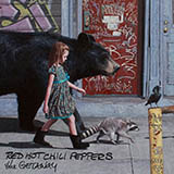 Red Hot Chili Peppers Detroit 173999