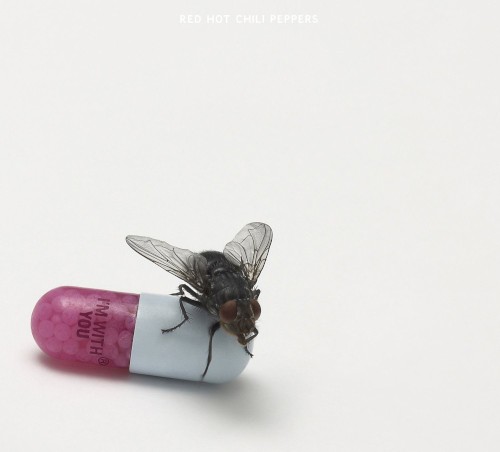 Red Hot Chili Peppers Did I Let You Know 174261
