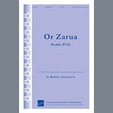 Robert Applebaum Or Zarua 1230549