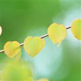 Robert I. Hugh Write It On Your Heart 152002