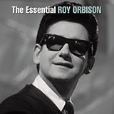 Roy Orbison Blue Bayou 1683990