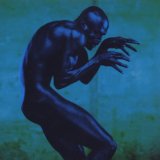 Seal Human Beings 31180