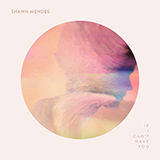 Shawn Mendes If I Can't Have You 420048