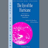 Sherry Blevins The Eye of the Hurricane 1710795