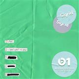 Sigrid I Don't Want To Know 125737