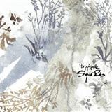Sigur Ros Hoppipolla 38415