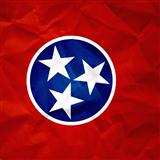 Tennessee Folksong Cotton Eyed Joe 1686929