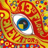 The Thirteenth Floor Elevators You're Gonna Miss Me 43991