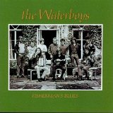 The Waterboys Fisherman's Blues 43051