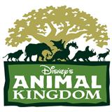 Tish Eastman Animal Kingdom - Tree Of Life Theme 23674