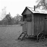 Tom Mellor I Wouldn't Leave My Little Wooden Hut For You 18950