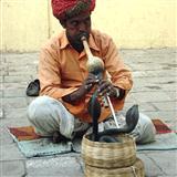 Traditional Indian Snake Charmer 172857