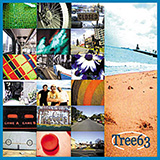 Tree63 Treasure 31698