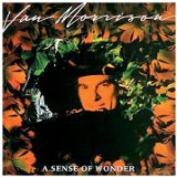 Van Morrison Tore Down A La Rimbaud 33422
