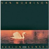 Van Morrison Whenever God Shines His Light 32976