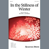 Victor C. Johnson In The Stillness Of Winter 410480