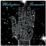 Whiskeytown Bar Lights 101056