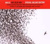 Wilco What Light 66934