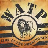Will and the People Lion In The Morning Sun 255235