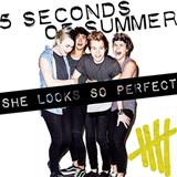 5 Seconds of Summer 'She Looks So Perfect' Piano, Vocal & Guitar Chords (Right-Hand Melody)