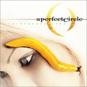 Easily Download A Perfect Circle Printable PDF piano music notes, guitar tabs for  Guitar Tab. Transpose or transcribe this score in no time - Learn how to play song progression.
