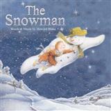 Aled Jones 'Walking In The Air (theme from The Snowman)' Piano, Vocal & Guitar Chords
