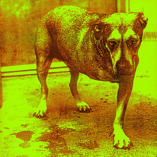 Easily Download Alice In Chains Printable PDF piano music notes, guitar tabs for  Guitar Tab. Transpose or transcribe this score in no time - Learn how to play song progression.
