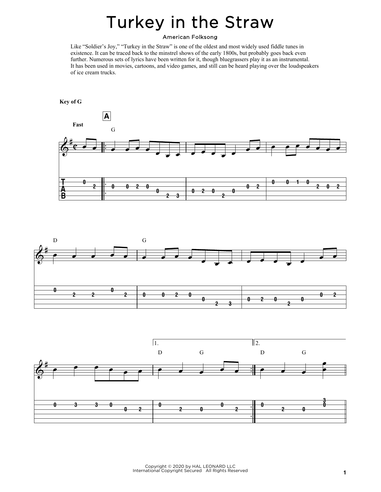 American Folksong Turkey In The Straw (arr. Fred Sokolow) sheet music notes and chords arranged for Solo Guitar