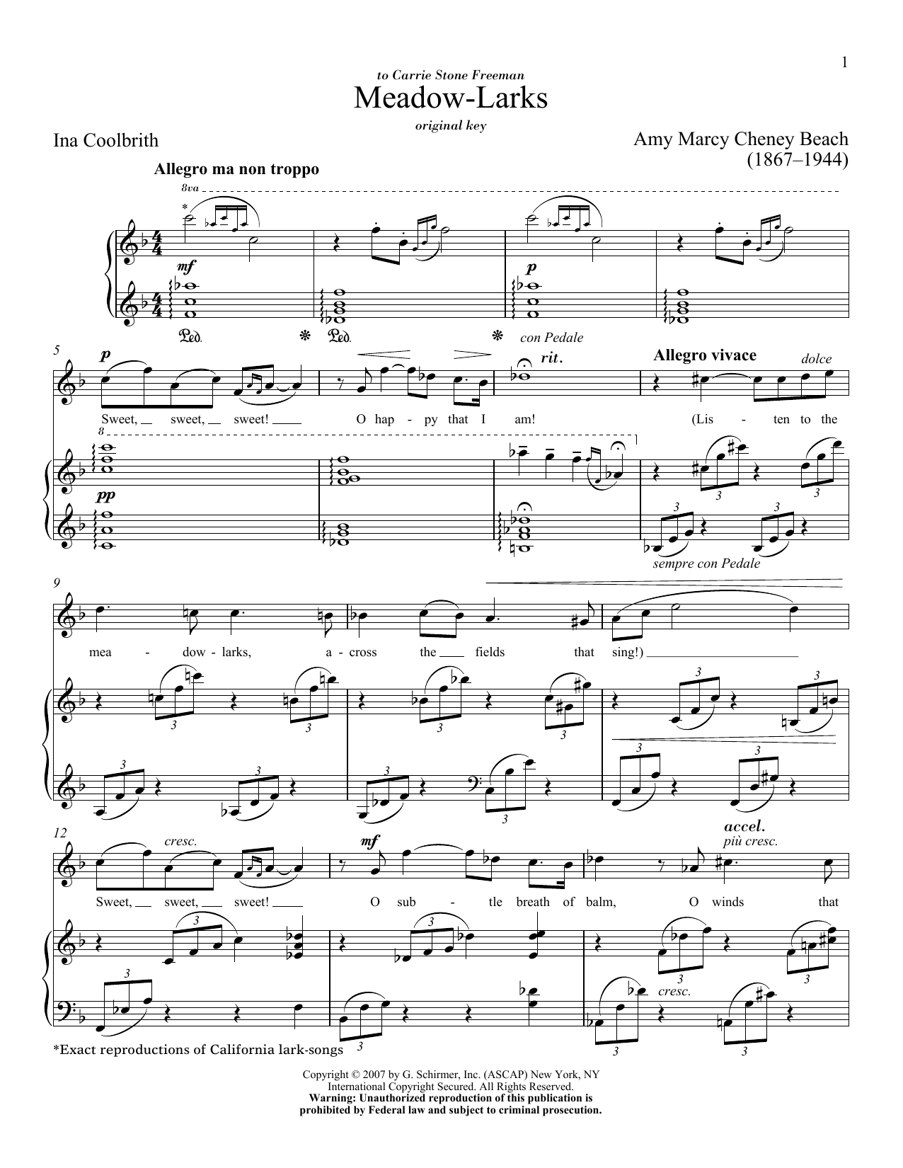 Amy Marcy Cheney Beach Meadow-Larks sheet music notes and chords arranged for Piano & Vocal