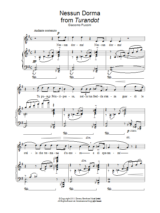 Andrea Bocelli Nessun Dorma sheet music notes and chords arranged for Piano & Vocal