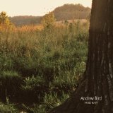 Andrew Bird 'Oh No' Guitar Chords/Lyrics