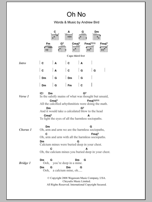 Andrew Bird Oh No sheet music notes and chords arranged for Guitar Chords/Lyrics