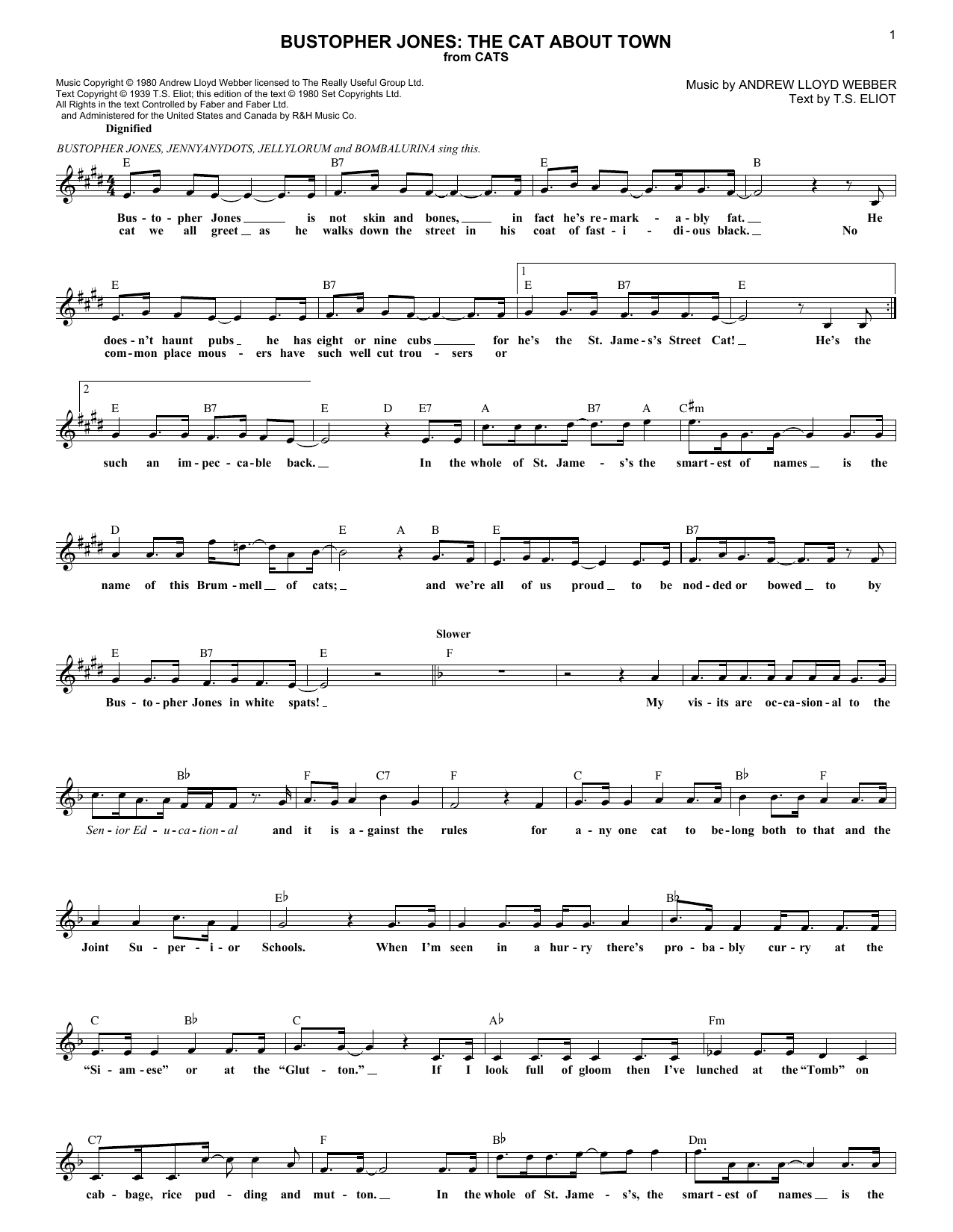Andrew Lloyd Webber Bustopher Jones: The Cat About Town (from Cats) sheet music notes and chords arranged for Lead Sheet / Fake Book