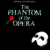 Download Andrew Lloyd Webber The Music Of The Night Sheet Music and Printable PDF music notes