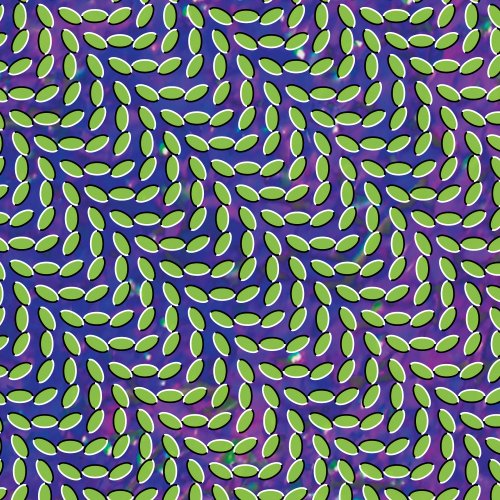 Easily Download Animal Collective Printable PDF piano music notes, guitar tabs for  Guitar Chords/Lyrics. Transpose or transcribe this score in no time - Learn how to play song progression.