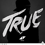 Avicii 'Hey Brother' Piano, Vocal & Guitar Chords (Right-Hand Melody)