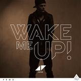 Avicii 'Wake Me Up' Guitar Lead Sheet