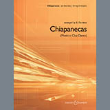B. Dardess 'Chiapanecas (Mexican Clap Dance) - Viola' Orchestra