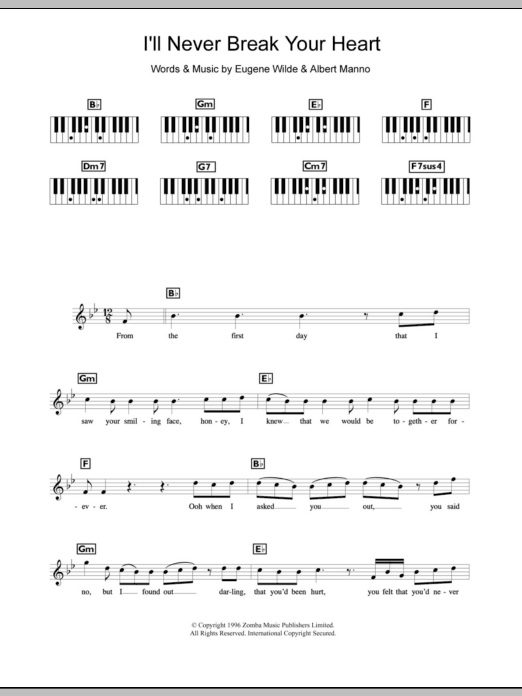 Backstreet Boys I'll Never Break Your Heart sheet music notes and chords arranged for Piano Chords/Lyrics