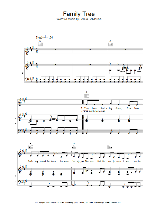 Belle And Sebastian Family Tree sheet music notes and chords arranged for Piano, Vocal & Guitar Chords