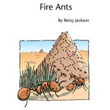 Betsy Jackson 'Fire Ants' Educational Piano