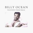 Easily Download Billy Ocean Printable PDF piano music notes, guitar tabs for  Piano, Vocal & Guitar Chords (Right-Hand Melody). Transpose or transcribe this score in no time - Learn how to play song progression.