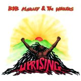 Bob Marley 'Work' Guitar Chords/Lyrics