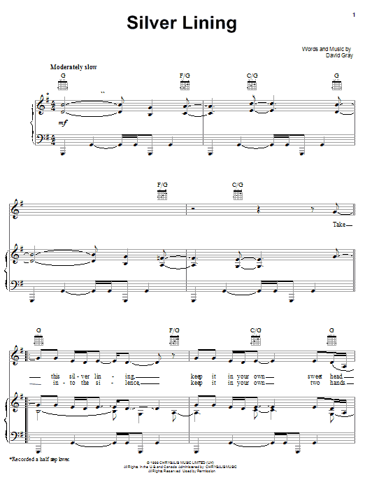 Bonnie Raitt Silver Lining sheet music notes and chords arranged for Guitar Tab