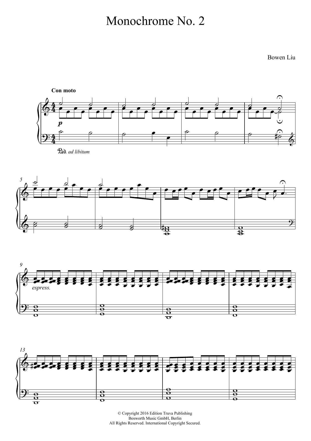 Bowen Liu Monochrome No. 2 sheet music notes and chords arranged for Piano Solo