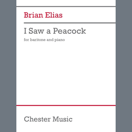 Easily Download Brian Elias Printable PDF piano music notes, guitar tabs for  Piano & Vocal. Transpose or transcribe this score in no time - Learn how to play song progression.