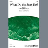 Bruce W. Tippette 'What Do The Stars Do?' SSAB Choir